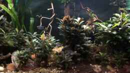 Video 28.11.2020, Abenddämmerung von herkla (MB0JBLLFhx4)