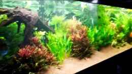 Video Unser Becken von Mella (MFqH9tXl47E)