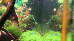 Video Tiroler Becken 105l Seitenperspektive von Bjarke (MKrd0PhAKbw)