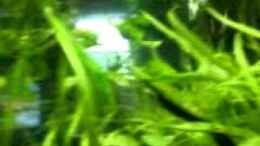 Video beim fressen von vico96 (MMPjXnqBPIg)