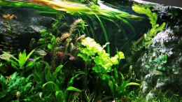 Video S??DAMERIKA 702 von Heike Fuchs (MRW_WlBix0I)