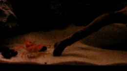 Video Abgehoben !!! von Northernlights (MpbmryyIXpU)