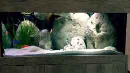 Video Alle da von Malawihude (N3xccmS-_lA)