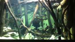 Video Südamerikabecken von ehemaliger User (N6l8wrkm1LY)