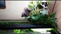 Video ??bersicht von Smo (N8o8kbV3ZOY)