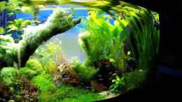 Video Impressions of Gaja II von Sebastian Hartmann (NCKj4zojE1k)