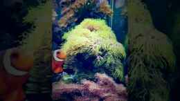 Video 2 von Artur Wegert (NFbjbx2CK8o)