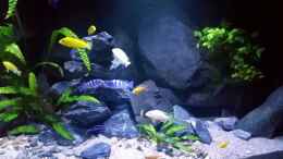 Video Malawi Echtstein Becken von Uncas (NQTsL-M8t6Y)