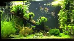 Video Meine Altums von Ceu-Ceu (O8rwiiBGkfQ)