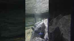 Video First Malawi 3 von Stefan von Oettingen (OP2l3UqHPSY)