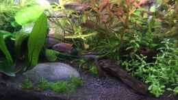 Video Fütterung von Tim1979 (OorojWBfIXk)