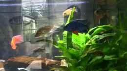 Video MalawiBecken von Mia Sun (Ostjf-lbnxQ)