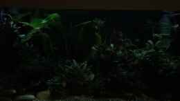 Video nun sind alle Bewohner schlafen von herkla (OtFNL122UGg)