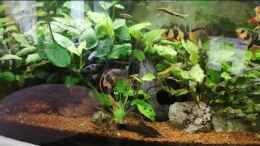 Video begrüßung am morgen von ErfurtOldy (P5p9MvZJpC4)