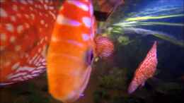 Video Video von Einrichtungsbeispiele.de von ehemaliger User (P6Cf0NsaKlM)