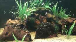 Video Layout3 von Thomas De Vries (PRiLVRd8G6c)