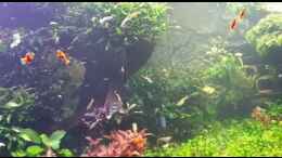 Video 12.06.2019 von Christian Roger Rohrer (PSb2oqZDYrI)