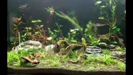 Video 2019 Jan. von Smo (PUOfhEtMm04)