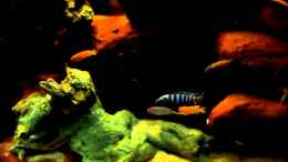 Video ~ Bright Colours of East Africa ~ Teil 3 von ehemaliger User (PbrhJQKC5ak)