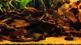 Video Video von Einrichtungsbeispiele.de von Jemafa (PfWpQvQyBrk)