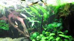 Video Fütterung von ehemaliger User (QIntfKsKTps)