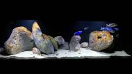 Video Malawibecken von Peter F. von ehemaliger User (QS45ZHYLLU8)