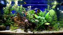 Video Ansicht Südamerika Becken von Acki50 (QZSOsYFgmew)