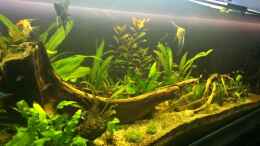 Video Rangers von Ragner (Qbnsh3J7pSY)