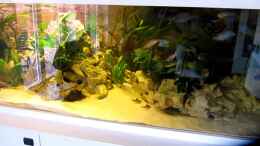 Video Malawi Becken 1200liter von Insulaner (Qm60yb96qiw)