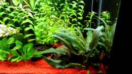 Video Kurzer Einblick von Hobbl (R-6wGMgH-kI)