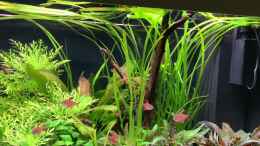 Video Mein kleines Juwel von ernst11 (R-QWNOxLc-g)