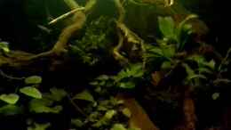 Video Neue Deko im Bild von ehemaliger User (R3-lMkZahm4)