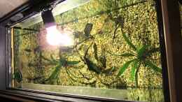 Video Ansicht von oben von Mirko (R4pEmuLKsvw)