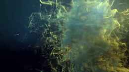 Video www.malawi-guru.de von Florian Bandhauer (R4rRxDwtUnA)