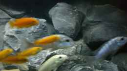 Video Gesamtansicht von Nina Hutter (R75XBX3Ipa4)