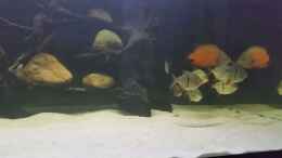 Video Leopoldi BD/Henlei     von Bernd N. (RJl4DKjrG6Y)