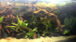 Video Gesamtansicht Guyana - Bachlauf von Harry Nemitz (RLhc7wY390w)