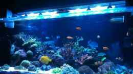 Video Video von Einrichtungsbeispiele.de von ehemaliger User (Rb0p-U3pjxM)