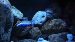 Video Abendstimmung von andreas32 (Rk8nitubdc8)