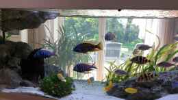 Video Gesamteindruck von ehemaliger User (RzI08M88D64)