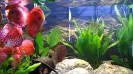 Video Video von Einrichtungsbeispiele.de von ehemaliger User (SEFAArgP_qE)