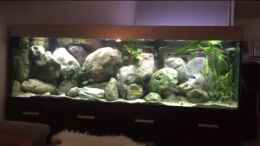 Video Video Frontansicht von Crenii (SKRl6TGF7gY)