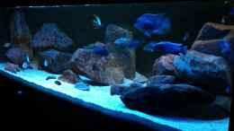 Video von Oeli (SLbdaEZsRLc)