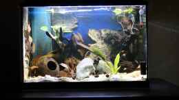 Video GoreSlayers Aufzuchtstation von GoreSlayer (SSpZ3fkf0sg)