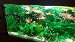 Video Bewegte Einblicke von Frank Krüger (SvY1eLuqprE)