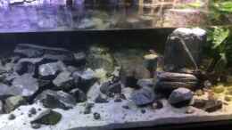 Video Wasserfüllung bei Ersteinrichtung von Steffi66 (SxlbIf9zvzI)