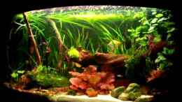 Video skalartank von ehemaliger User (T1SOUa2hQtk)