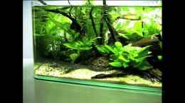 Video Nature Dreams von Chris_R. (TIfPu7FRygA)