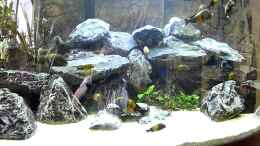 Video Tropheus von ehemaliger User (TIxdopP31E8)