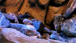 Video die neuen von Marco O. (Tdgo2DyYhKs)